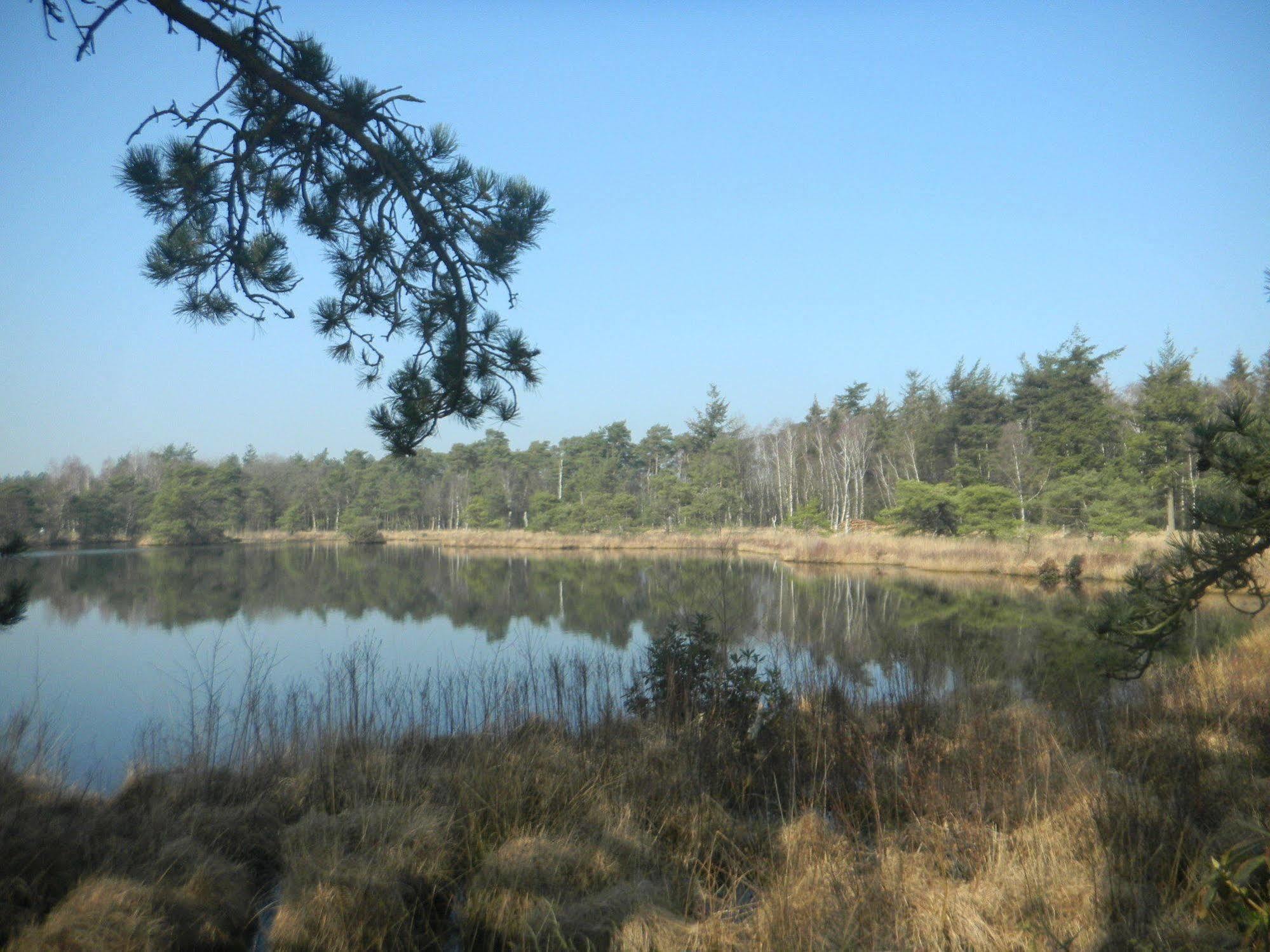 De Hilver Diessen